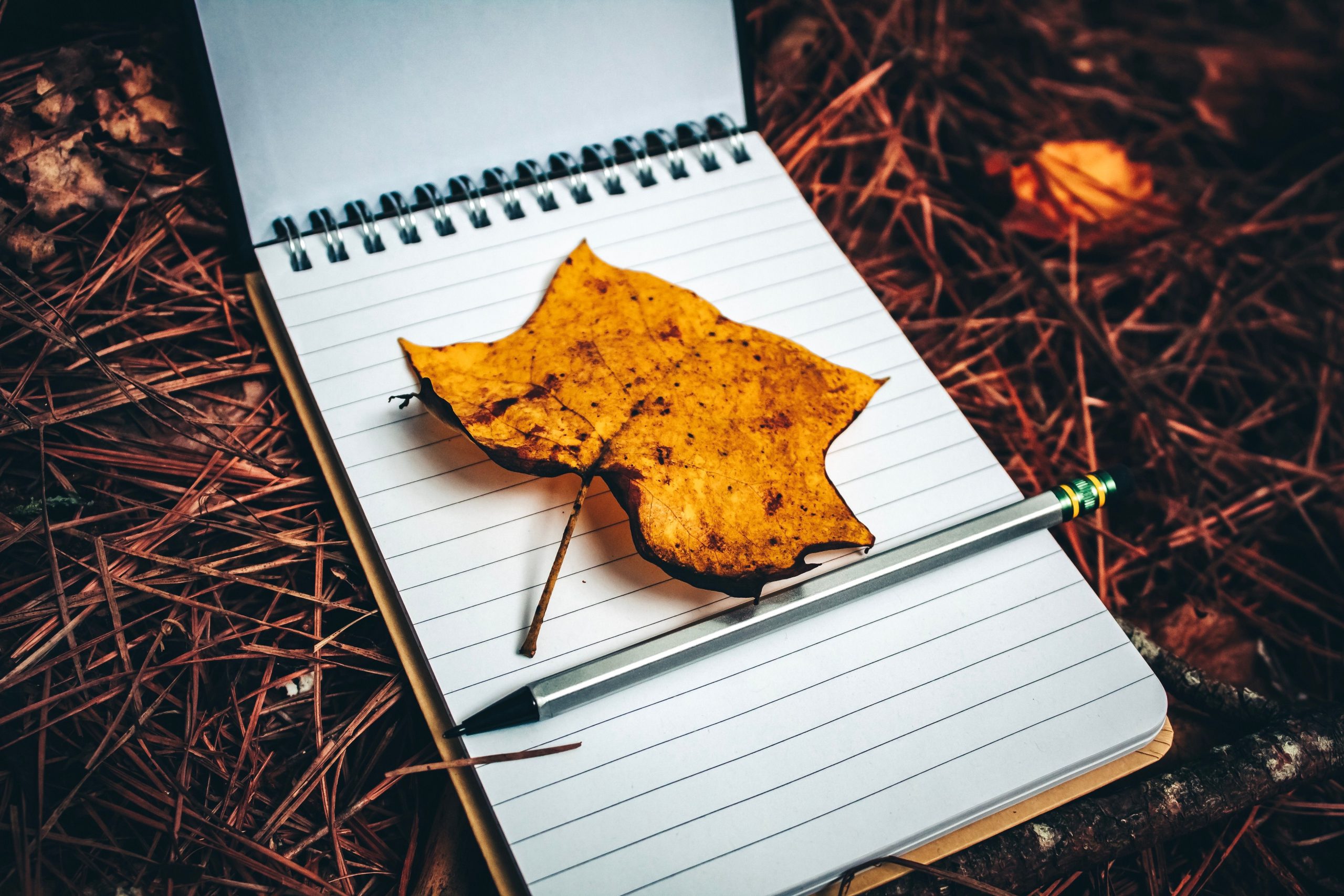 Feeling Stuck in Retirement? Nature May Reveal Some Answers